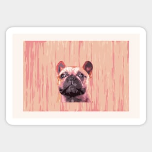 French bulldog, cute frenchie head, pink dog Sticker